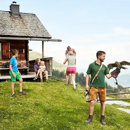 Hochalmbahnen 5w1, Lorbeerrose, Nahe Gondel, Hunde Willkommen