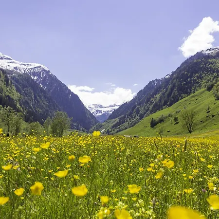 Appartamento Hochalmbahnen Chalets 5W1, Lorbeerrose, Nahe Gondel, Hunde Willkommen Rauris