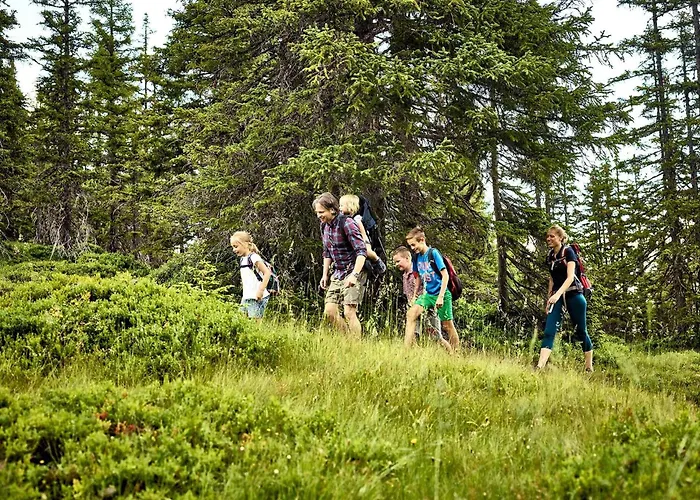 Hochalmbahnen Chalets 5W1, Lorbeerrose, Nahe Gondel, Hunde Willkommen アパート