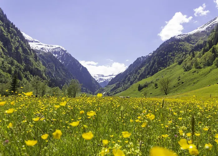 Appartamento Hochalmbahnen Chalets 5W1, Lorbeerrose, Nahe Gondel, Hunde Willkommen Rauris